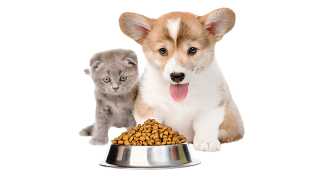 Pet food